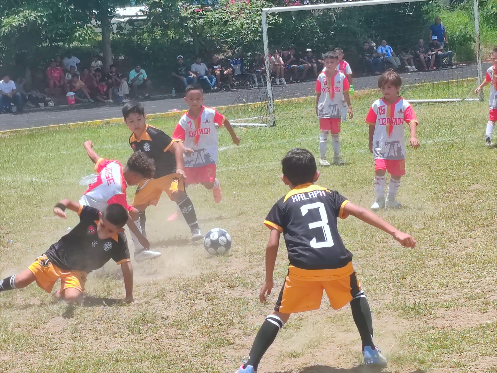 Vera-Boca y Xalapa se coronan en Poza Rica