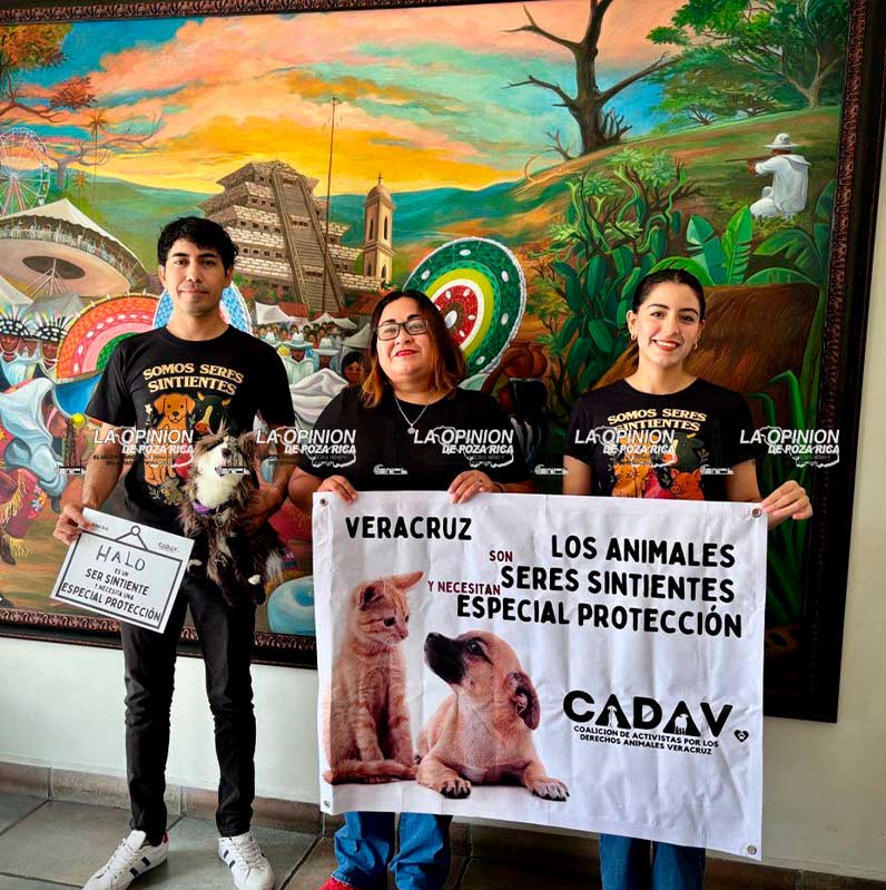 Piden reconocer a los animales como seres sintientes Piden reconocer a los animales como seres sintientes