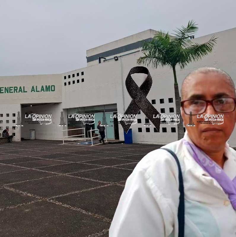 Muere mujer tras sufrir picaduras de abejas Muere mujer tras sufrir picaduras de abejas