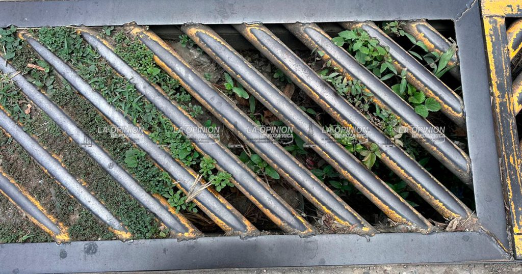 Alcantarillas maceta, alertan a la población de la zona conurbada Alcantarillas maceta, alertan a la población de la zona conurbada