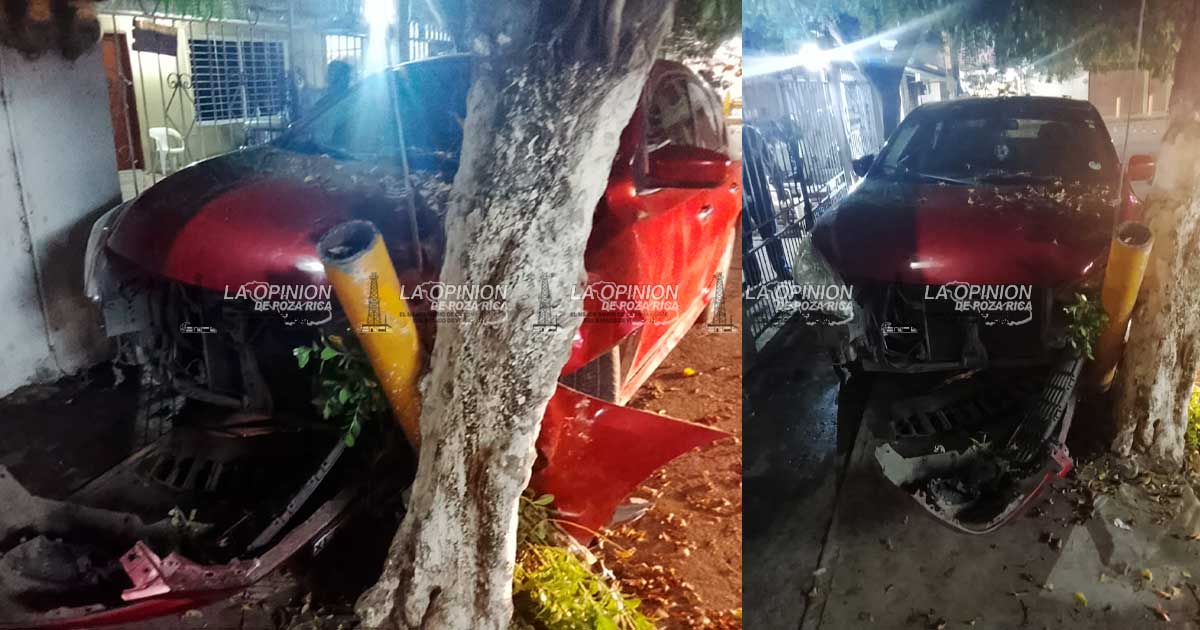 ¡Se ensarta en árbol! ¡Se ensarta en árbol!