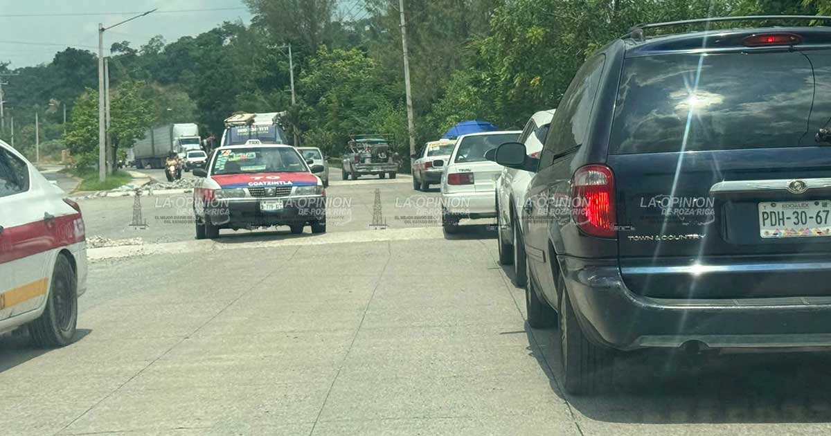 ¡Son unas bardas! ¡Son unas bardas!