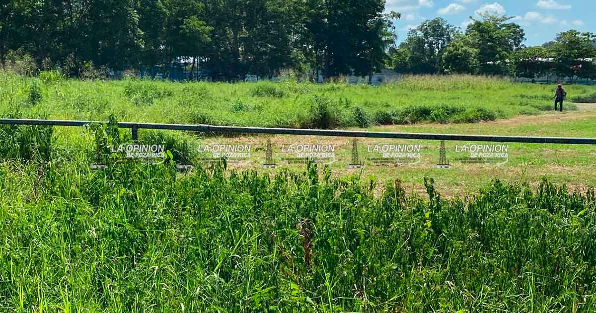 Campos deportivos están en el abandono, como los del Cuatro y Medio Campos deportivos están en el abandono, como los del Cuatro y Medio