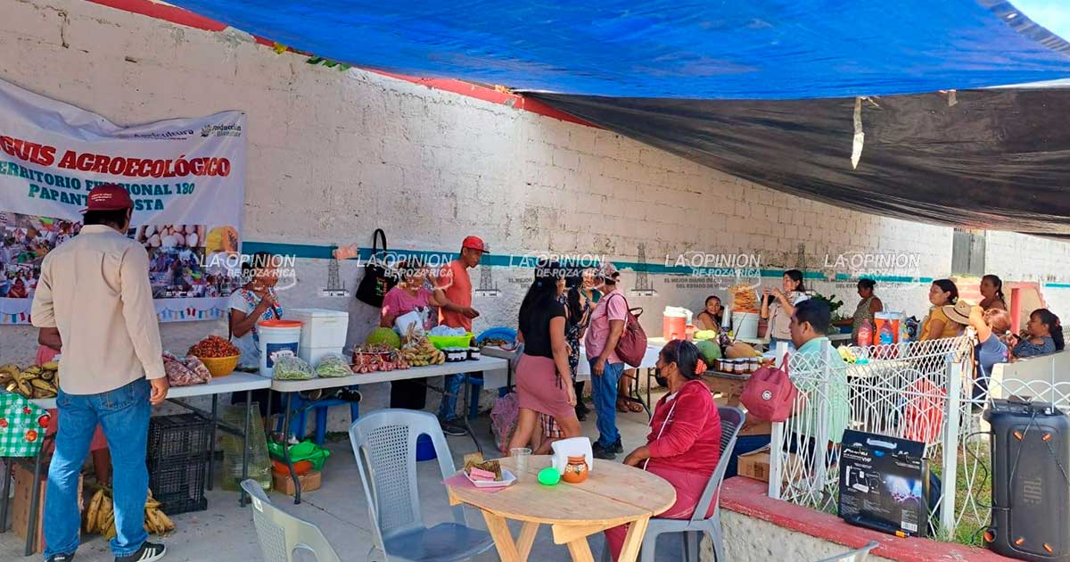 CONDICIONAN EL BIENESTAR CONDICIONAN EL BIENESTAR