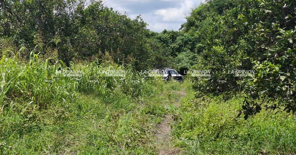 Capturan a sujeto vinculado a desaparición de Hortencia Capturan a sujeto vinculado a desaparición de Hortencia