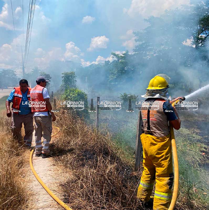 Ola de calor y descuidos provocan más incendios Ola de calor y descuidos provocan más incendios