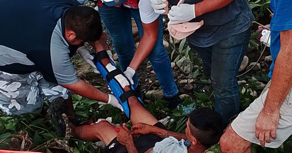 Joven se lesiona al caer de un árbol Joven se lesiona al caer de un árbol