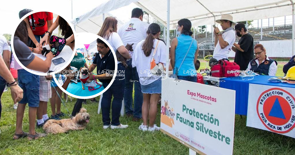 Este sábado será la Expo Mascotas 2025 en el campo "18 de Marzo" Este sábado será la Expo Mascotas 2025 en el campo "18 de Marzo"