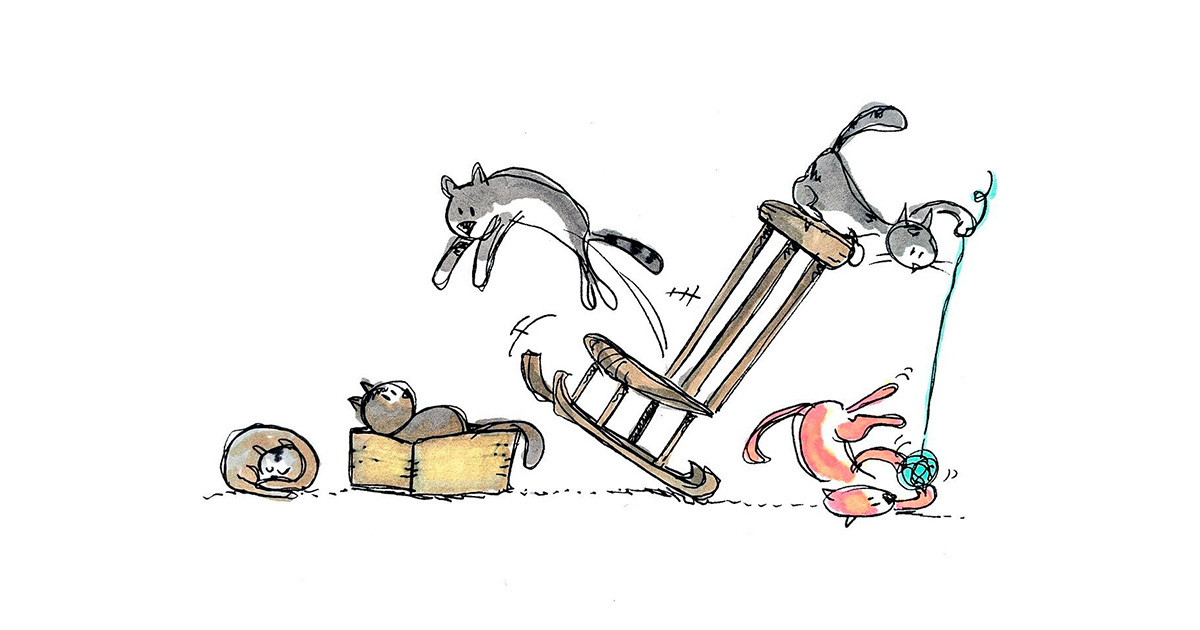 Gatos curiosos: ¿Influye la dieta en su ingenio?