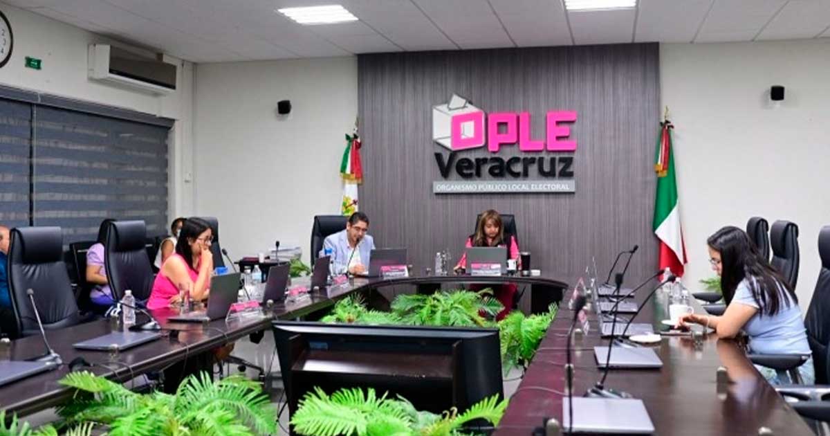 OPLE enfrenta adeudos con INE OPLE enfrenta adeudos con INE