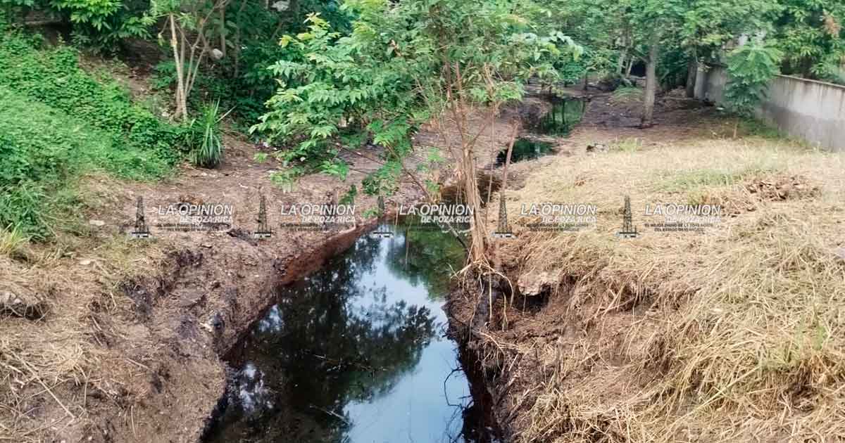 Papantla vive entre el aceite Papantla vive entre el aceite