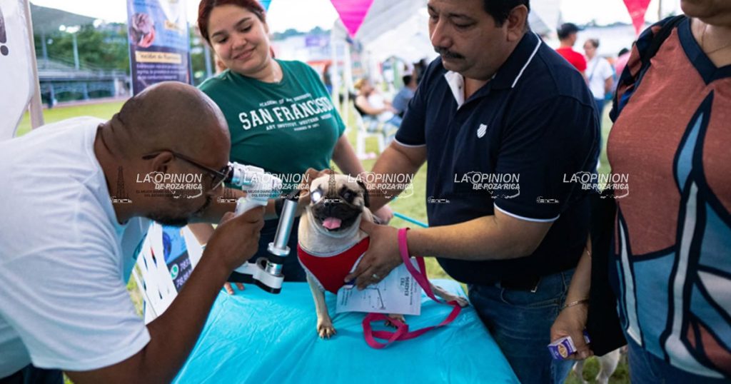 Este sábado será la Expo Mascotas 2025 en el campo "18 de Marzo" Este sábado será la Expo Mascotas 2025 en el campo "18 de Marzo"