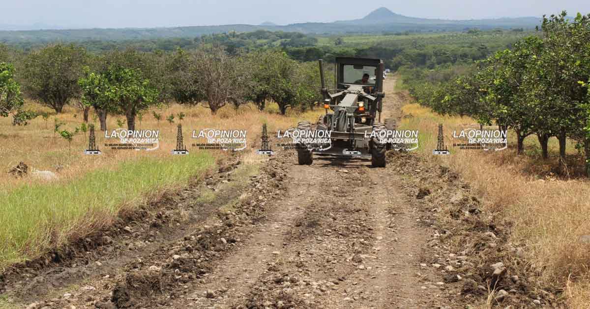 Ejército mejora accesos a huertas en comunidades Ejército mejora accesos a huertas en comunidades