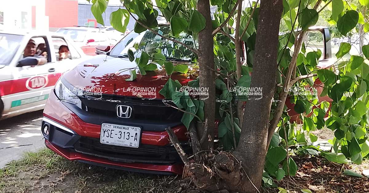 Se ensarta con árbol frente a Tianguis Se ensarta con árbol frente a Tianguis