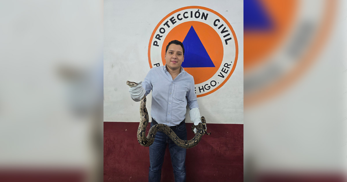 Capturan serpiente en la Central de Abastos Capturan serpiente en la Central de Abastos