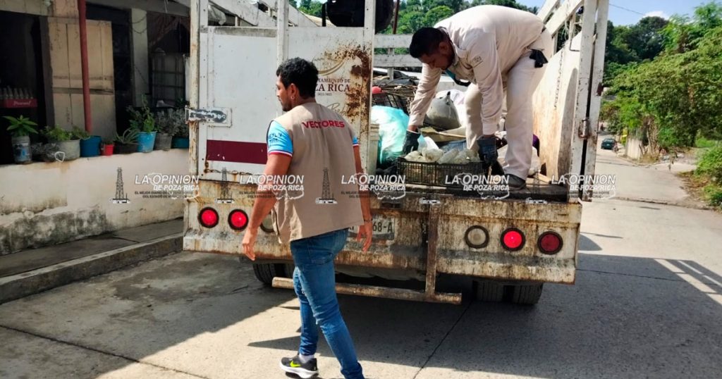 Le pegan al mosco del dengue con jornada de descacharrización Le pegan al mosco del dengue con jornada de descacharrización