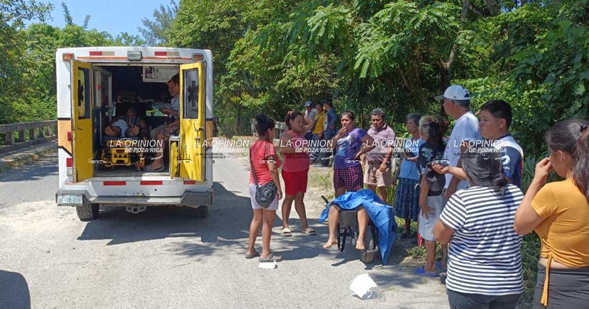 Mujer muere por picadura de abejas Mujer muere por picadura de abejas