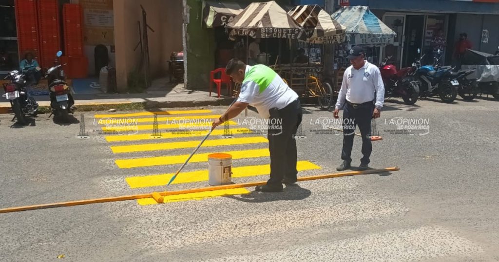 Pintan más pasos peatonales en Naranjos Pintan más pasos peatonales en Naranjos