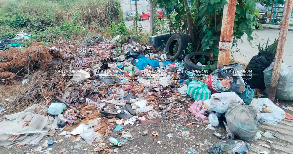 Genera Discricar basureros clandestinos en colonias de la ciudad Genera Discricar basureros clandestinos en colonias de la ciudad