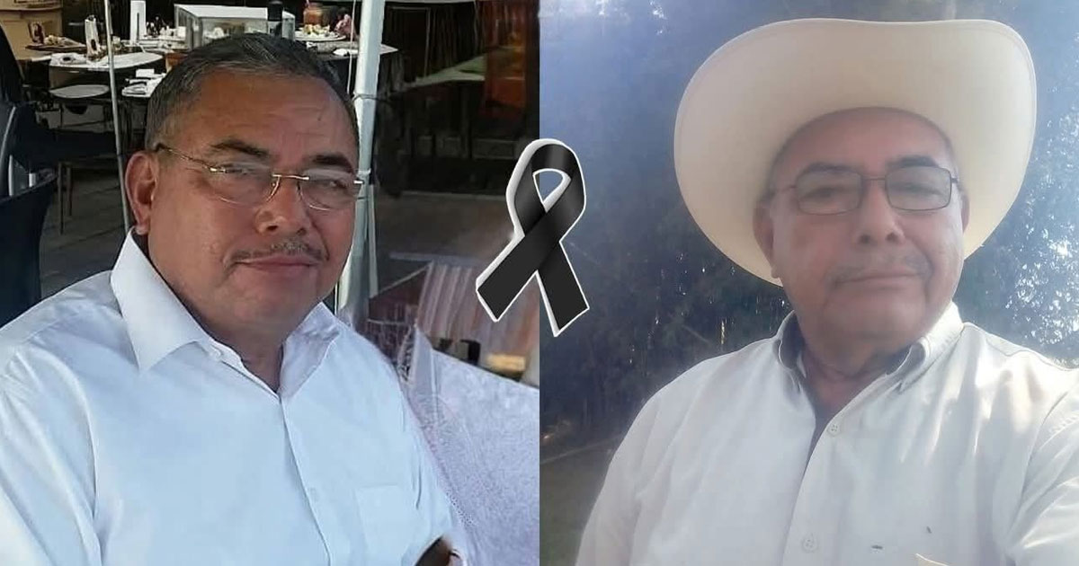 Muere ex alcalde tras ser atacado por abejas africanas Muere ex alcalde tras ser atacado por abejas africanas