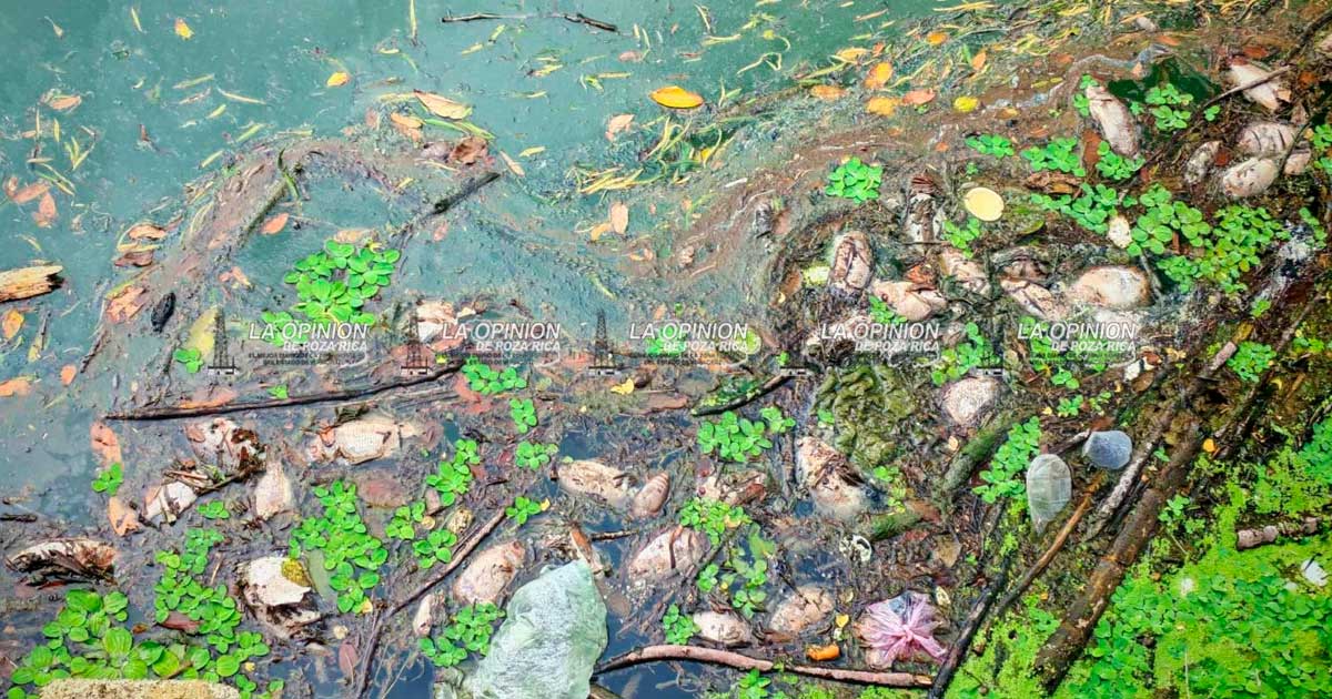 Ecocidio en el río Tancochin
