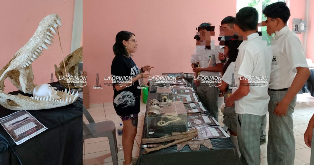 Fósiles únicos y mesas sobre basura: ciencia en Tecolutla