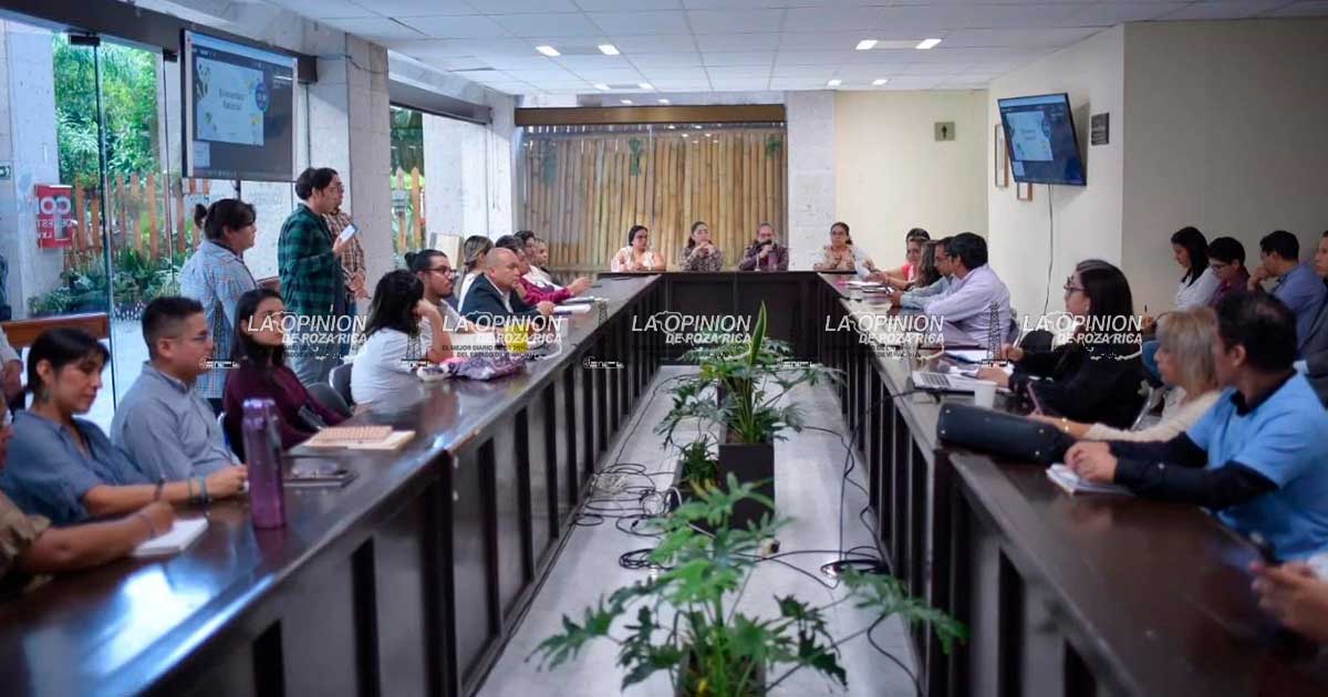 Colectivos piden se reconozca el termino seres sintientes en animales Colectivos piden se reconozca el termino seres sintientes en animales