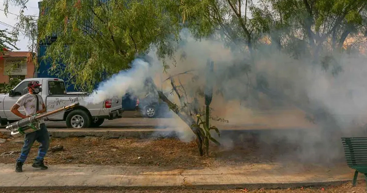 Reportan 16 muertes a causa del dengue en una semana