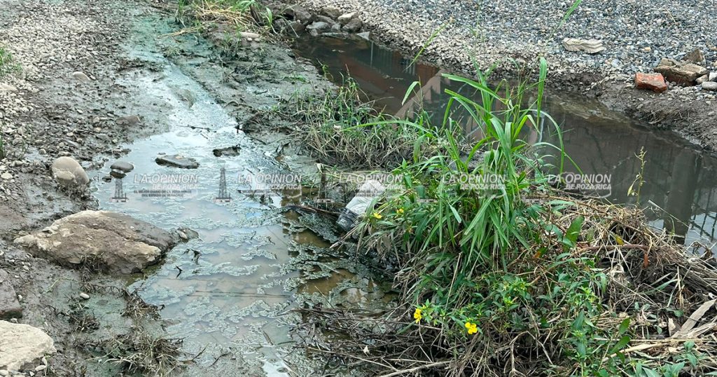 Drenaje colapsado pone en riesgo salud de niños de la colonia Magisterios Drenaje colapsado pone en riesgo salud de niños de la colonia Magisterio