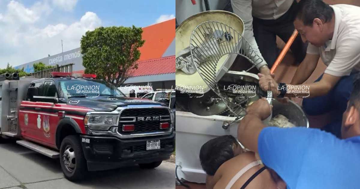 Máquina de masa atrapa brazo de pequeño de 3 años Máquina de masa atrapa brazo de pequeño de 3 años