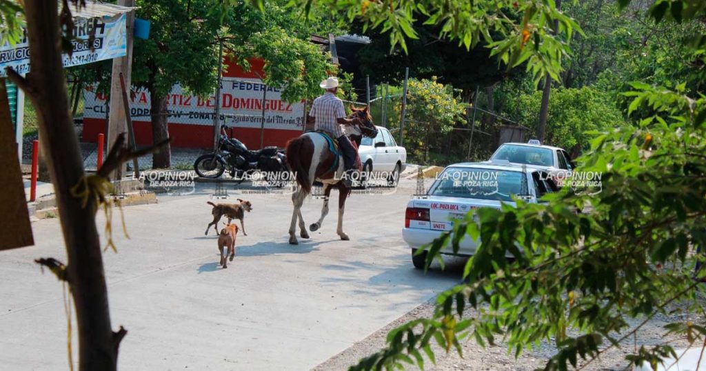 Terreno inestable detiene obra pública en Cerro del Mesón Terreno inestable detiene obra pública en Cerro del Mesón