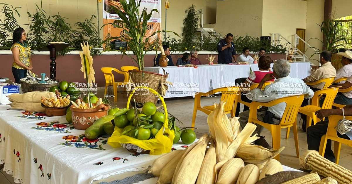 Por Día del Maíz, encuentro regional de Sembrando Vida