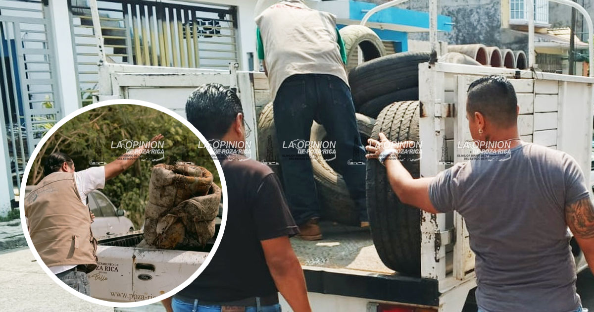 Habrá descacharrización contra dengue en la colonia La Ceiba Habrá descacharrización contra dengue en la colonia La Ceiba