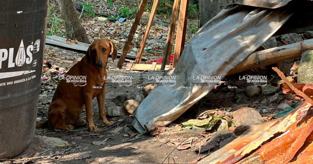 Pierde su vivienda en su totalidad, debido a un incendio