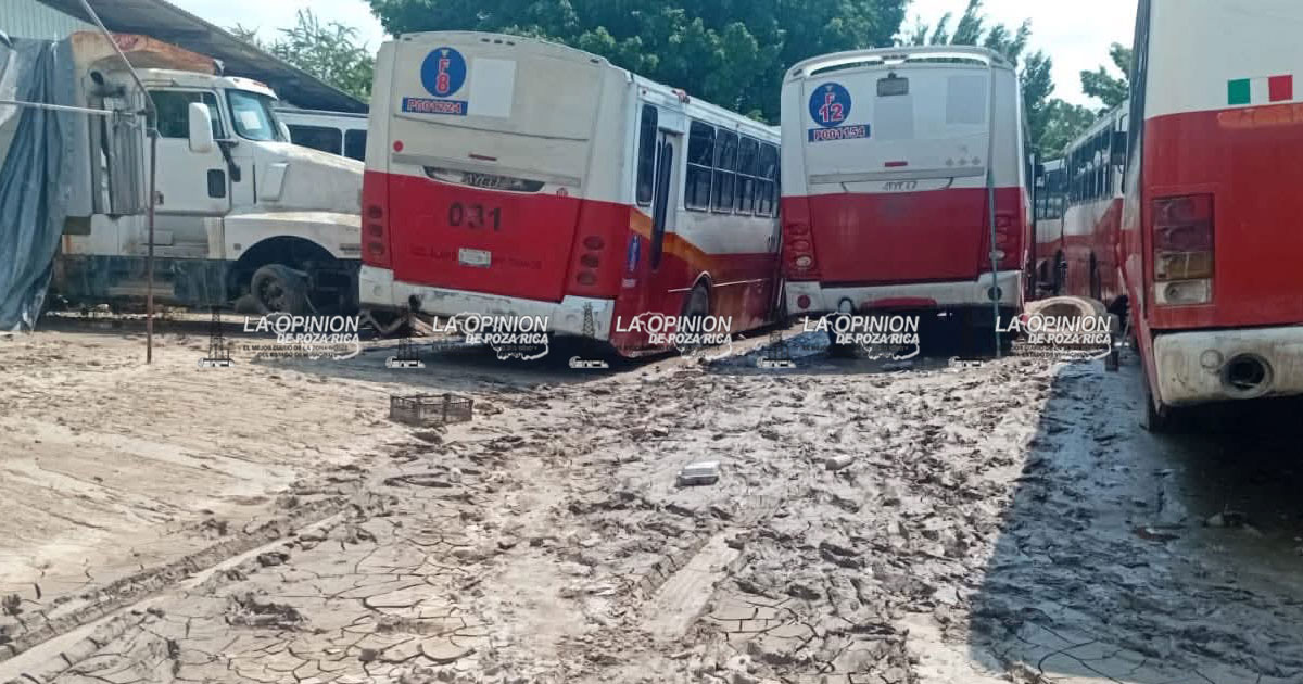 Severo daño en terminal de "Autobuses Álamo" Severo daño en terminal de "Autobuses Álamo"