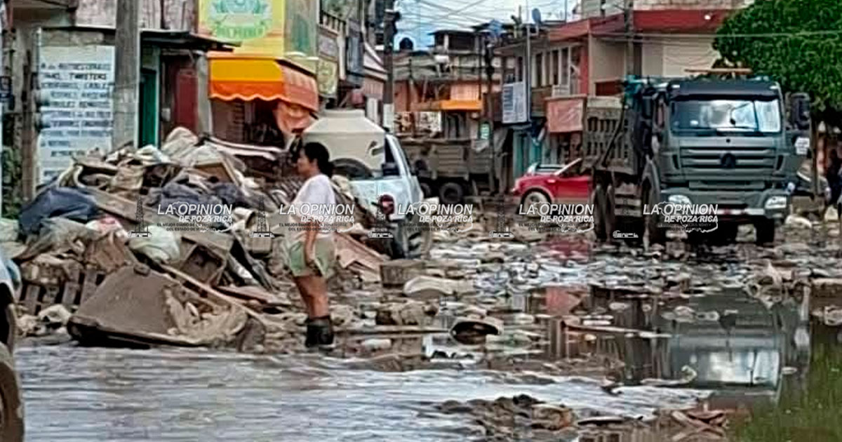 Basura y pestilencia en la zona centro Basura y pestilencia en la zona centro
