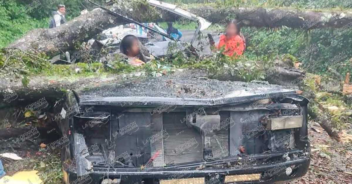 Menor de edad atrapada, tras caída de árbol sobre la carretera federal México-Tuxpan