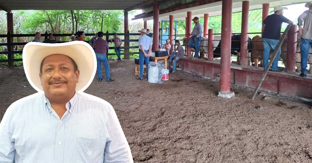 Ganaderos de Tecolutla piden apoyo tras las afectaciones por lluvias e inundaciones Ganaderos de Tecolutla piden apoyo tras las afectaciones por lluvias e inundaciones