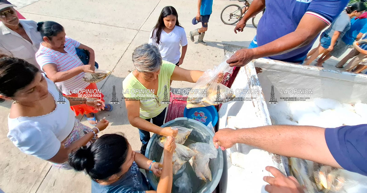 Cargamento de pescado para los damnificados Cargamento de pescado para los damnificados