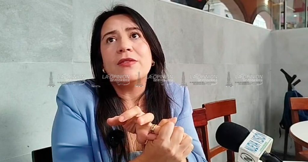 Gobierno burocratiza la ayuda, tardará 30 días en rendir un informe de daños: Diputada Gobierno burocratiza la ayuda, tardará 30 días en rendir un informe de daños: Diputada