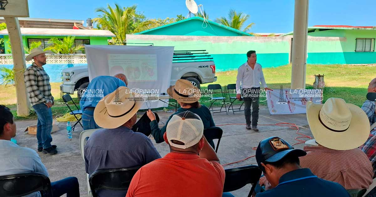 Impulsan ganadería productiva y sostenible Impulsan ganadería productiva y sostenible