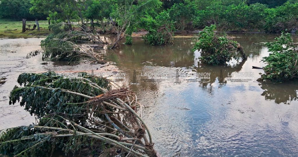 Ganaderos piden apoyo: las inundaciones arrasaron con su campo y ganado Ganaderos piden apoyo: las inundaciones arrasaron con su campo y ganado