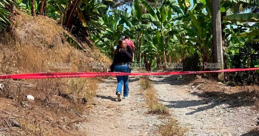 Ejecutan a taxista Ejecutan a taxista