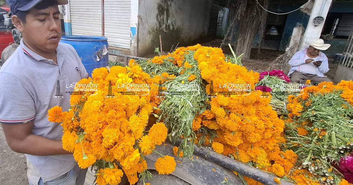 Altares muy austeros para el Día de Muertos Altares muy austeros para el Día de Muertos