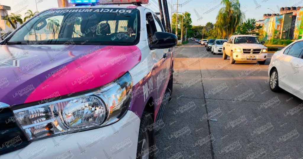 ¡Se armó la pelotiza! ¡Se armó la pelotiza!