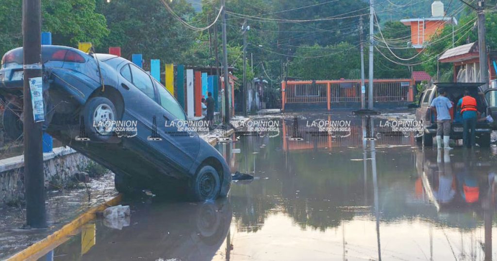 Entre lodo y lágrimas Entre lodo y lágrimas