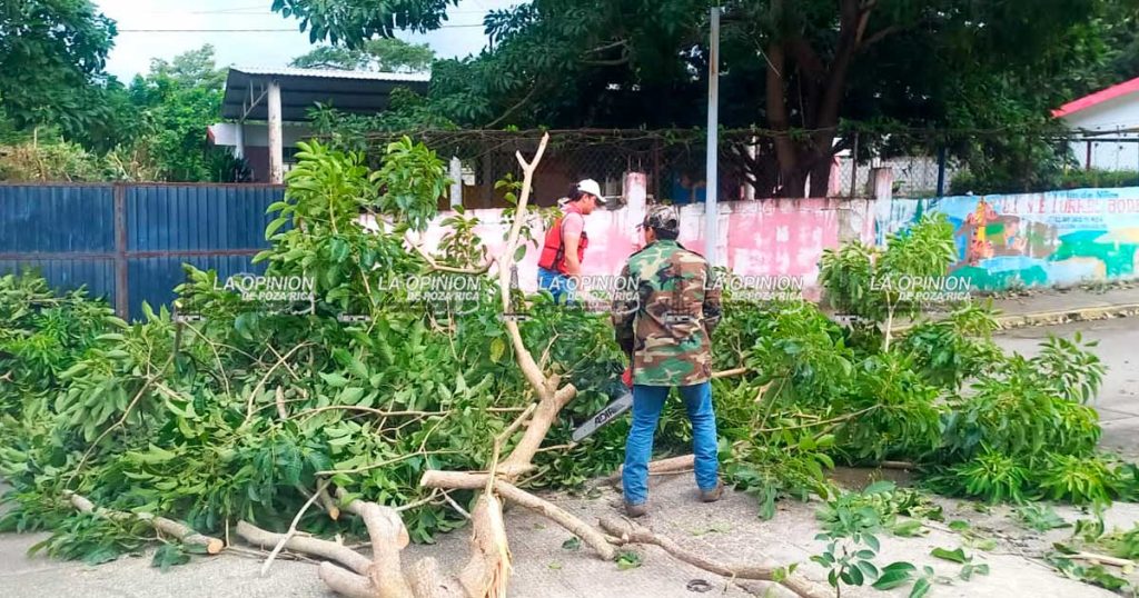 Caídas de árboles y cortes de energía eléctrica en Cerro Azul Caídas de árboles y cortes de energía eléctrica en Cerro Azul