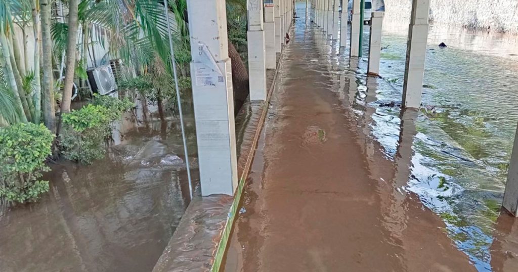 Descarta rector de la UV desaparición de 192 estudiantes Descarta rector de la UV desaparición de 192 estudiantes