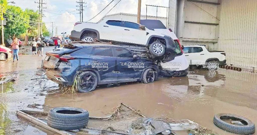Entre lodo y lágrimas Entre lodo y lágrimas