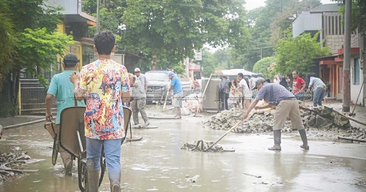 RENTAN MÁQUINAS PARA LIMPIAR RENTAN MÁQUINAS PARA LIMPIAR